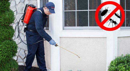 Akseki Böcek İlaçlama böcek ilaçlama ve haşere kontrolü — ilaclama-tr.com